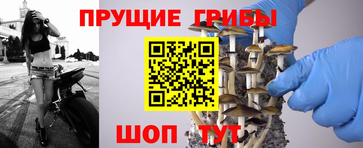 Галлюциногенные грибы GOLDEN TEACHER Амурск