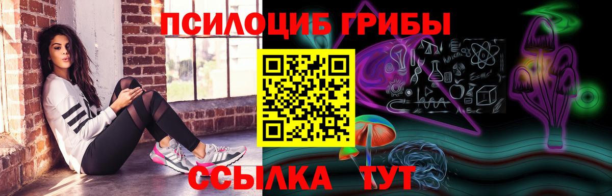 закладки  Вход с VPN  Галлюциногенные грибы ЛСД  Амурск  Галлюциногенные грибы мухоморы 